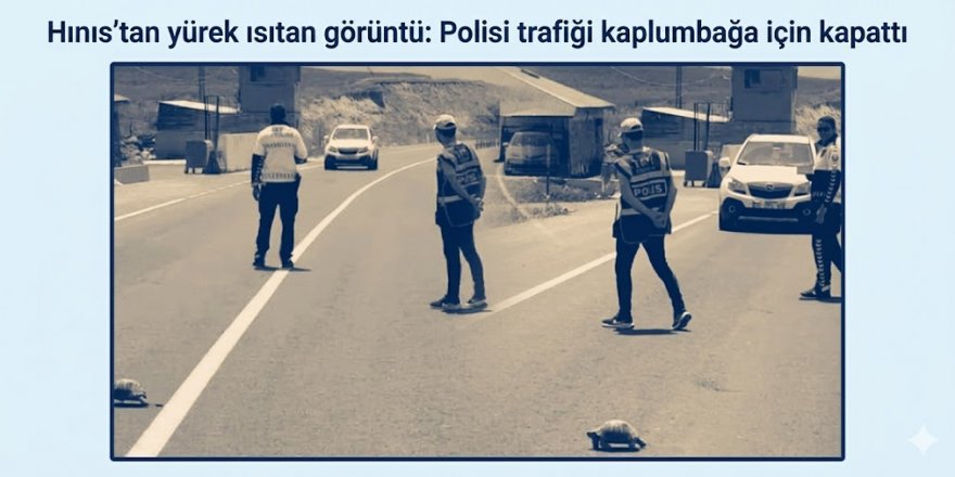 Hınıs'tan yürek ısıtan görüntü: Polisi trafiği kaplumbağa için kapattı