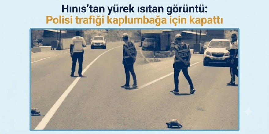 Hınıs'tan yürek ısıtan görüntü: Polisi trafiği kaplumbağa için kapattı