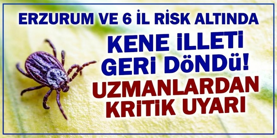 Erzurum ve 6 il Risk altında! Uzmanlardan KENE uyarısı