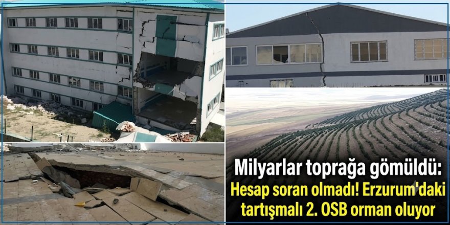 Milyarlar toprak oldu! Erzurum'daki tartışmalı 2. OSB orman oluyor