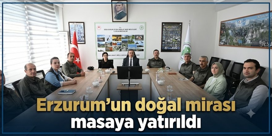 alt tarafa iki renk iki sıra fotonun üzerine yaz. Resmin etrafına mavi renkte ince çerçeve yap. 880- 440 ölçülerine çek