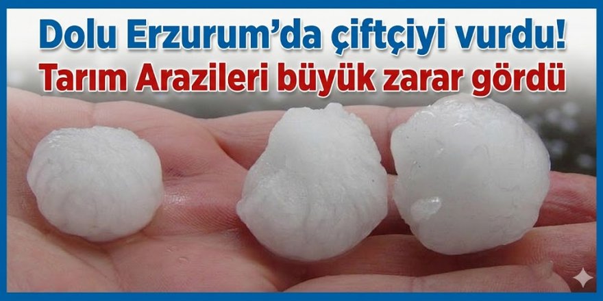 Dolu Erzurum'da çiftçiyi vurdu! Tarım Arazileri büyük zarar gördü