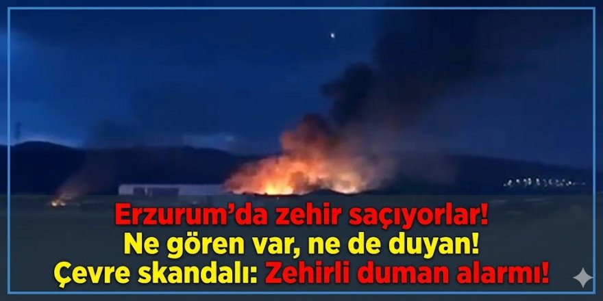 Erzurum'da zehir saçıyorlar! Ne gören var, ne de duyan!