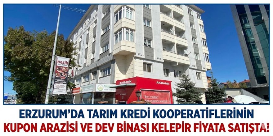 Erzurum'da Kupon arazi, dev bina... Kelepir muhammen bedel!