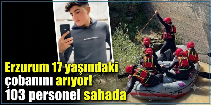 Erzurum 17 yaşındaki çobanını arıyor