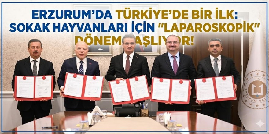 Erzurum’da Türkiye’de Bir İlk: Sokak Hayvanları İçin "Laparoskopik" Dönem Başlıyor!
