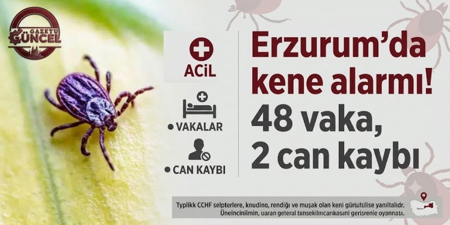 Metni sağ alt tarafa uygun bir renkte yerleştir. Logoyu küçült ve yuvarlak içine alarak sol üst köşeye koy. 880- 440 ölçülerine çek.