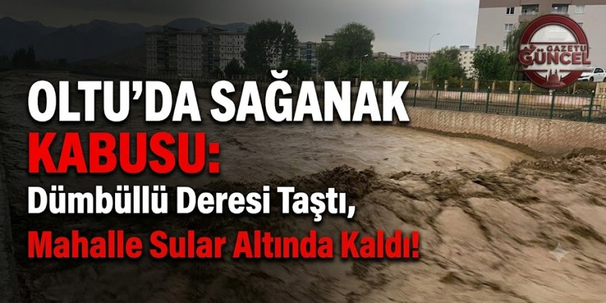 Oltu'da Sağanak Kabusu: Dümbüllü Deresi Taştı, Mahalle Sular Altında Kaldı!