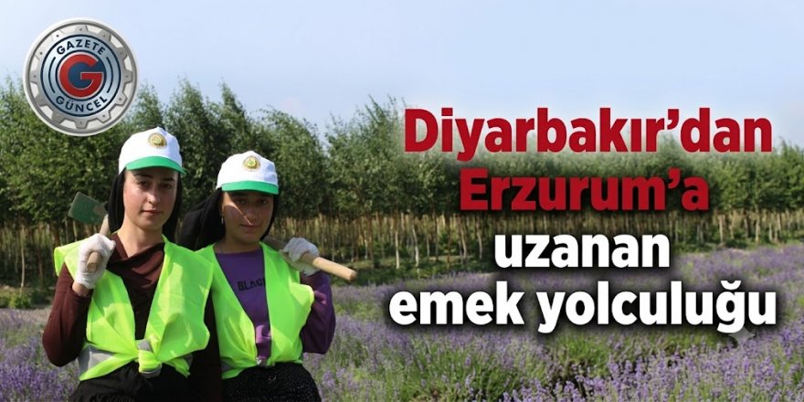 Diyarbakır'dan Erzurum'a uzanan emek yolculuğu