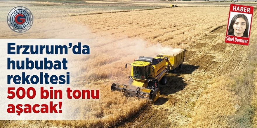 Erzurum'da hububat rekoltesi 500 bin tonu aşacak!
