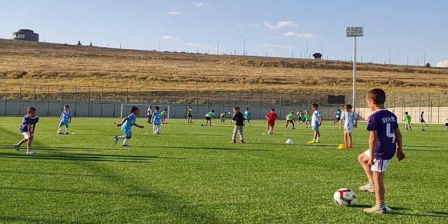 Erzurum'da Kule manzaralı saha