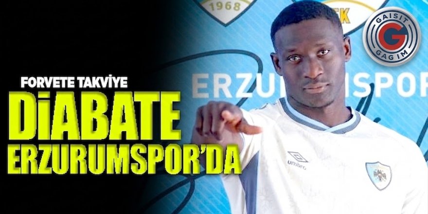 Erzurumspor FK Hücum Hattına İsveç'ten Takviye Yapt