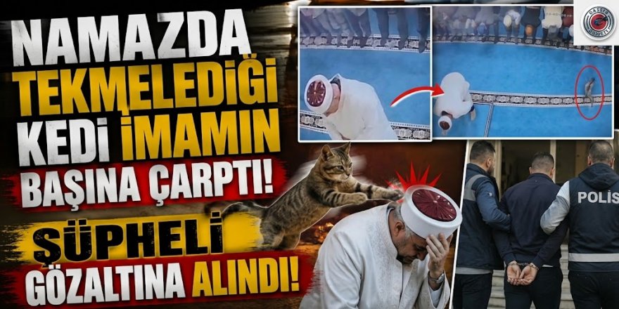 Erzurum'da Namazda tekmelediği kedi imamın başına çarptı! Şüpheli gözaltına alındı
