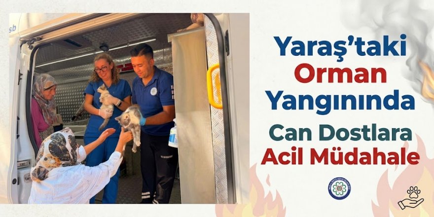 Yaraş’taki Orman Yangınında Can Dostlara Acil Müdahale