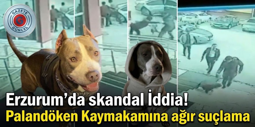 Erzurum'da skandal İddia! Palandöken Kaymakamına ağır suçlama