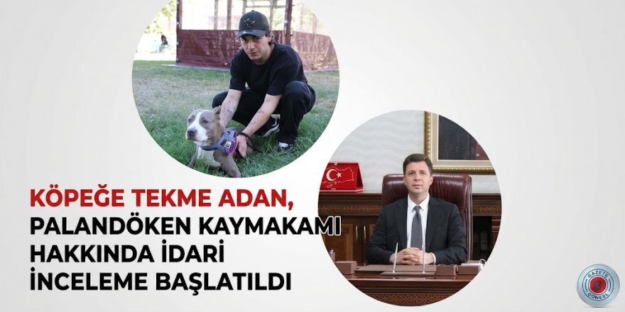 Köpeğe tekme adan, Palandöken Kaymakamı hakkında idari inceleme başlatıldı