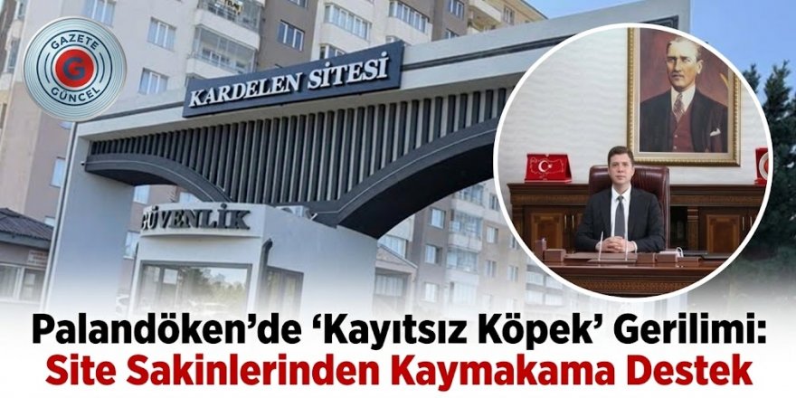 Palandöken’de ‘Kayıtsız Köpek’ Gerilimi: Site Sakinlerinden Kaymakama Destek
