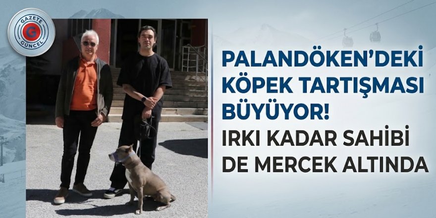 Palandöken'deki köpek tartışması büyüyor! Irkı kadar sahibi de mercek altında
