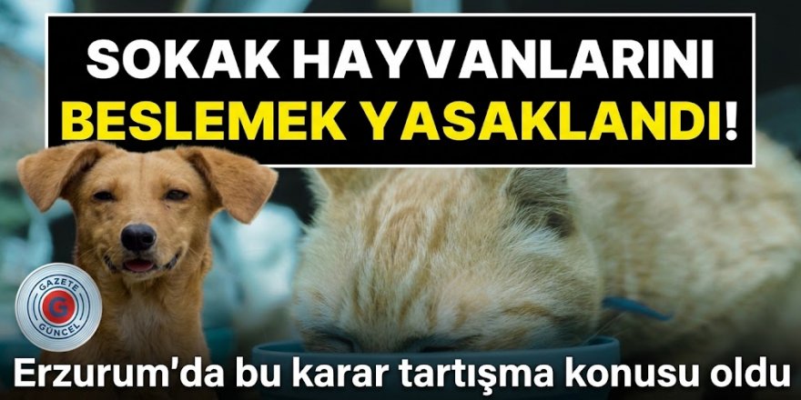 Erzurum'da sokak hayvanlarının beslenmesi yasaklandı