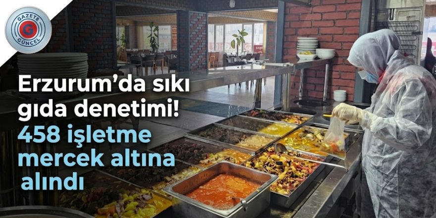 Erzurum'da sıkı gıda denetimi! 458 işletme mercek altına alınd