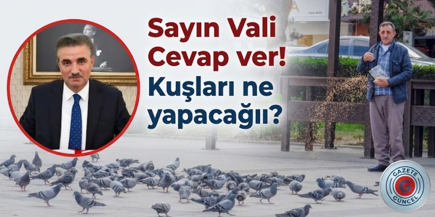 Erzurumlu kuşları ne yapacak, Sayın Vali!