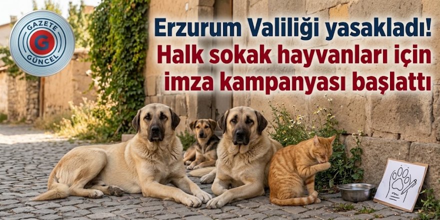 Erzurum Valiliği yasakladı! Halk sokak hayvanları için imza kampanyası başlattı