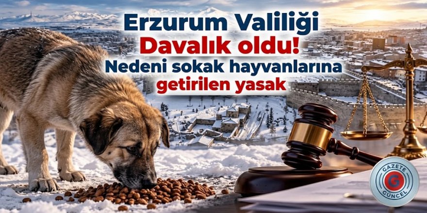 Erzurum Valiliği Davalık oldu! Nedeni sokak hayvanlarına getirilen yasak