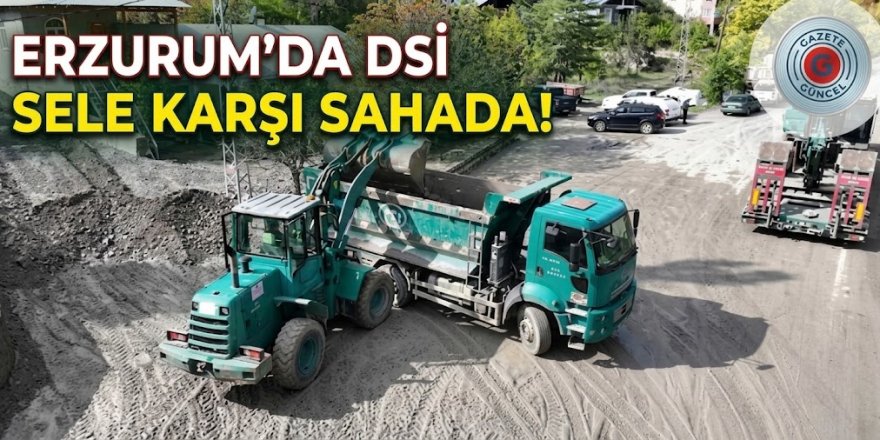Erzurum'da DSİ sele karşı sahada!