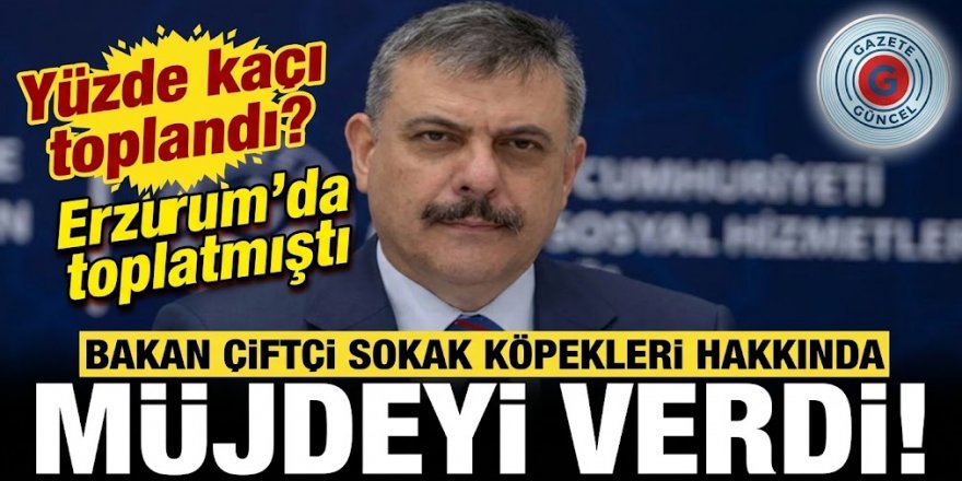 Bakan Çiftçi: Türkiye genelinde sokak köpeklerinin toplanmasında yüzde 99,9'a ulaştık