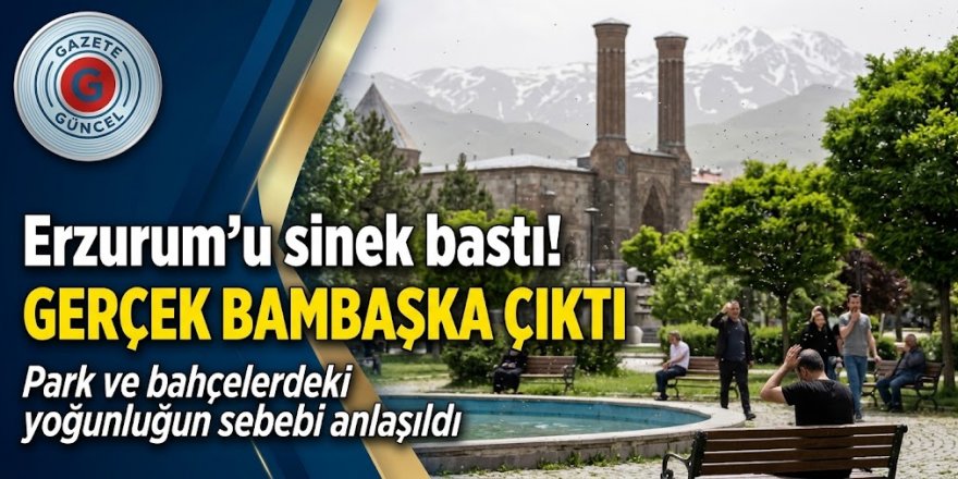 Erzurum'u sinek bastı! Gerçek bambaşka çıktı