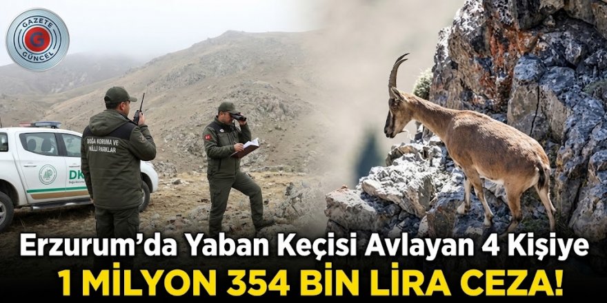 Erzurum'da Kaçak Avcılara Ağır Darbe