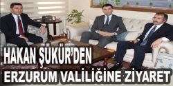 Şükür Erzurum Valiliğini ziyaret etti.
