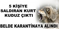 Tortum'daki katil kurt kuduz çıktı!