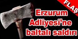 Erzurum Adliyesi'ne baltalı saldırı
