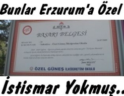 Vali soruşturma açtırdı ama!..