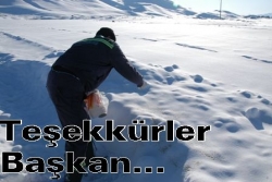 Hayvanlara insanlık eli!..