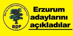 BDP adaylarını açıkladı!