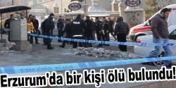 Erzurum'da bir kişi ölü bulundu!