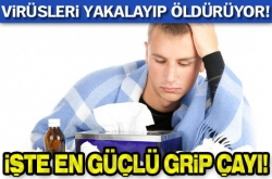 Virüsleri yakalayıp öldürüyor!