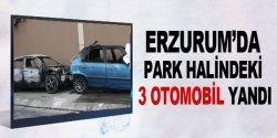 Erzurum'da 3 Otomobil yandı