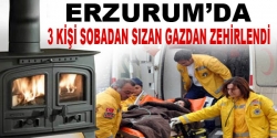 Erzurum'da karbonmonoksit zehirlenmesi