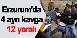 Erzurum'da 4 ayrı kavga 12 yaralı