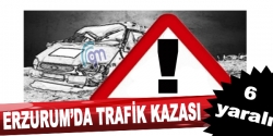 Erzurum'da trafik kazası