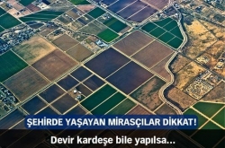 Devir kardeşe bile yapılsa!