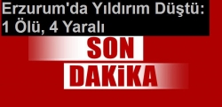 Erzurum'da Yıldırım Düştü