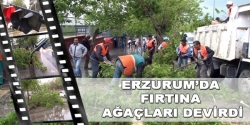Erzurum'da fırtına ağaçları devirdi