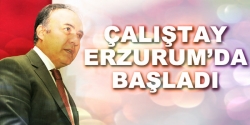 Çalıştay Erzurum'da başladı