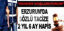 Sözlü tacize 2 yıl 6 ay hapis