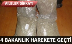 4 bakanlık bonzaiye savaş açtı!