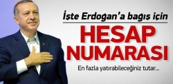Erdoğan'a destek için hesap numarası